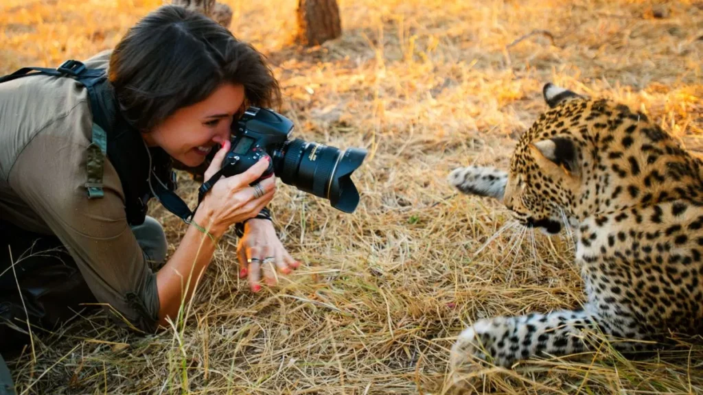 Wildlife Photography: Tips for Capturing Stunning Animal Moments